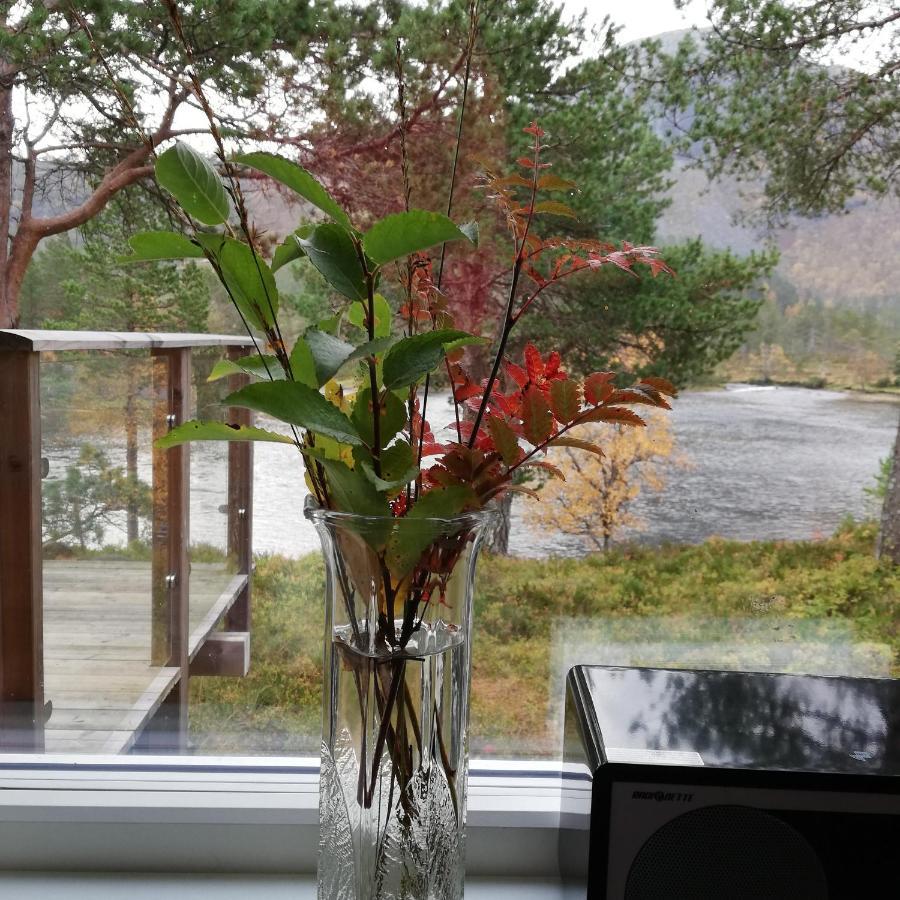 Hytte Ved Gaularfjellet Viksdalen Exteriör bild
